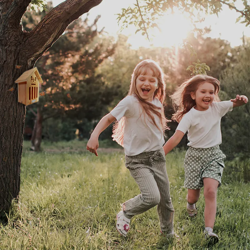 Hagemann Schmetterlingshotel