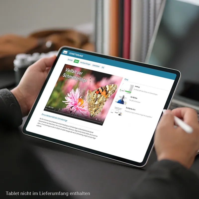 Hagemann Klassenprojektset Schmetterlinge (30-35 Raupen)