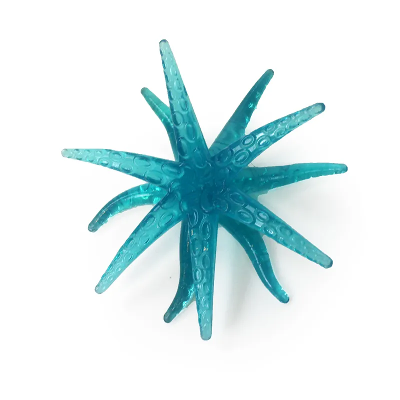 Fensterkrabbler Seestern