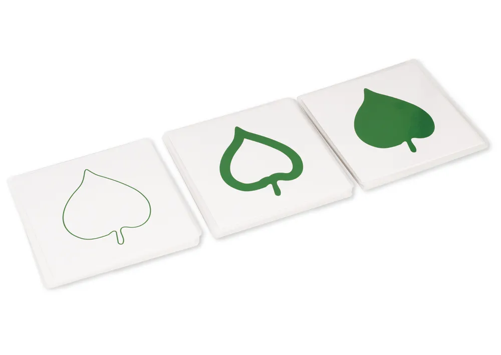 TimeTEX Botanischer Kartensatz "Montessori Premium"
