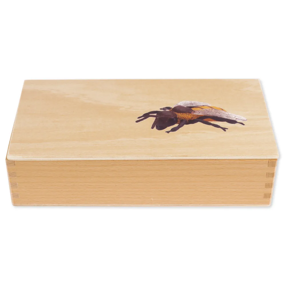 TimeTEX Lebenszyklus einer Honigbiene, in Holzbox "Montessori Premium"