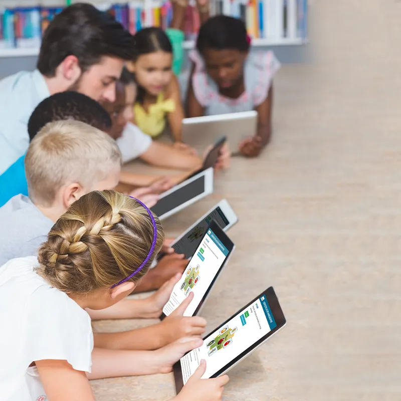 Hagemann Larven für Marienkäferzucht (10-15 Larven)