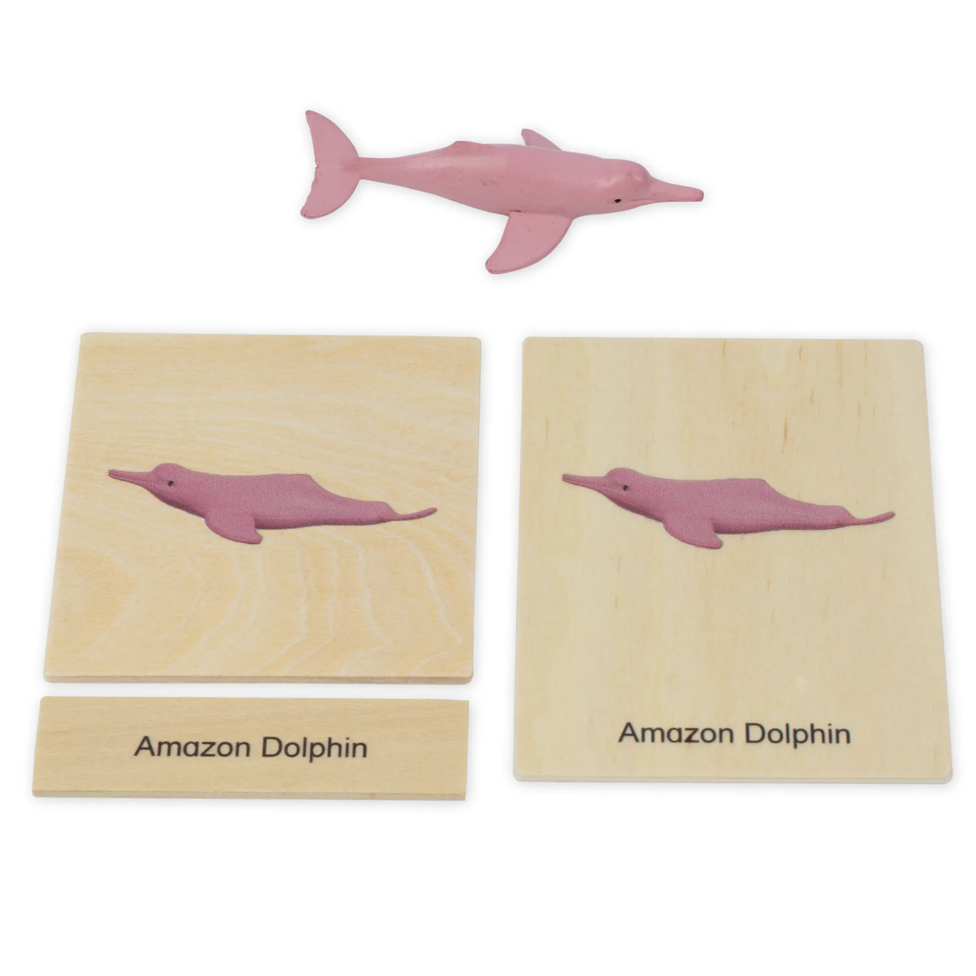 TimeTEX Mini-Tiere-Set Südamerika "Montessori Premium"