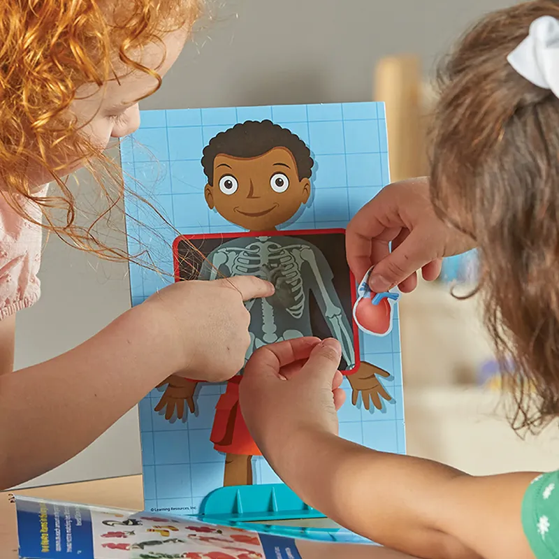 Der Menschliche Körper, Steck-Set, 17 tlg.