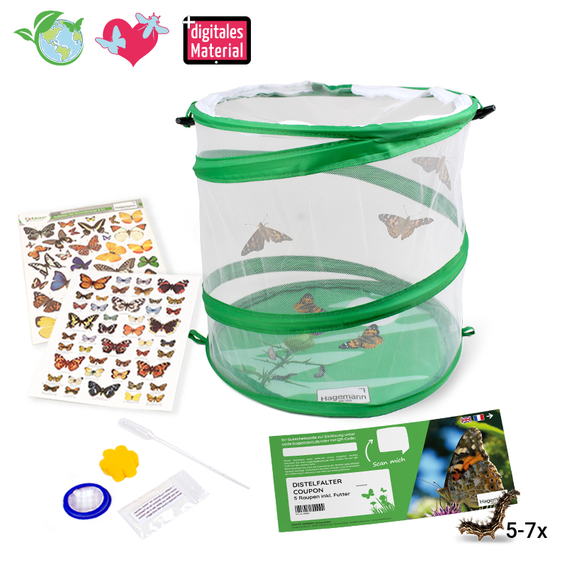 Hagemann Schmetterlings-Zuchtset, kompakt (mit Gutschein, 5-7 Raupen)