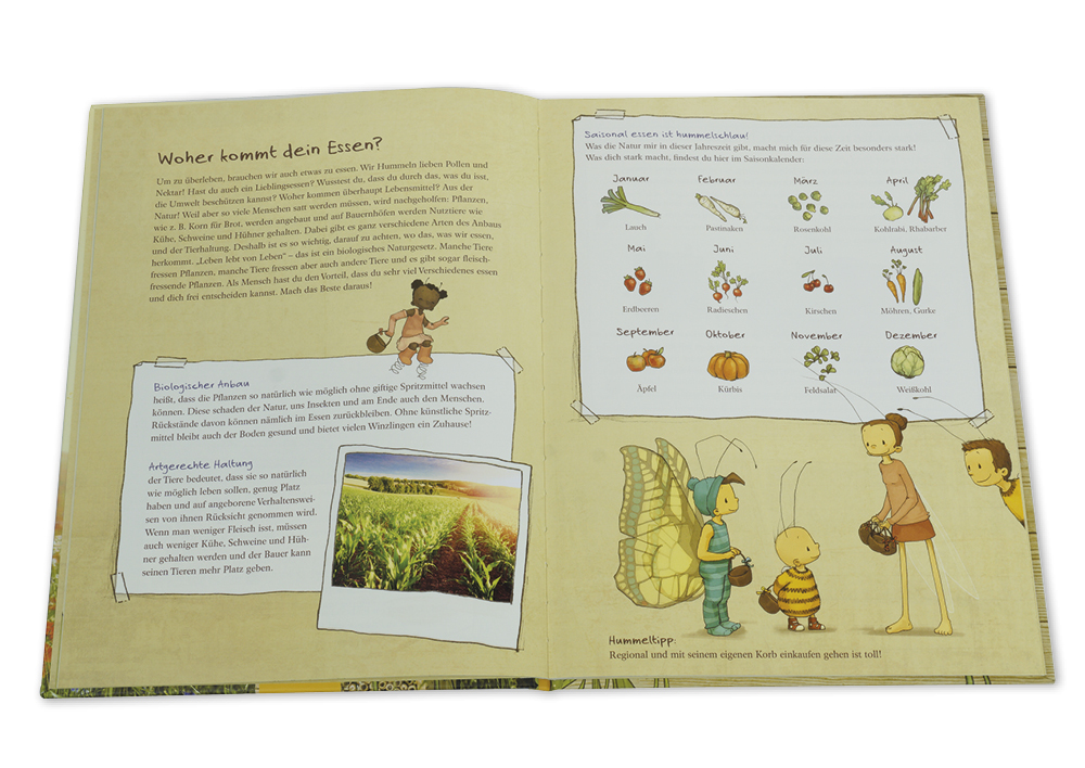 Set "Die kleine Hummel Bommel", Sachbilderbuch und Saatgut-Box