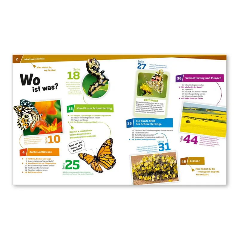 WAS IST WAS Schmetterlinge (Band 43)