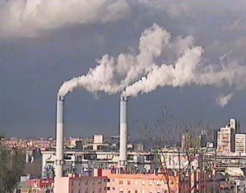 DVD-Lehrfilm Kohlenstoff - Ein natürlicher Kreislauf