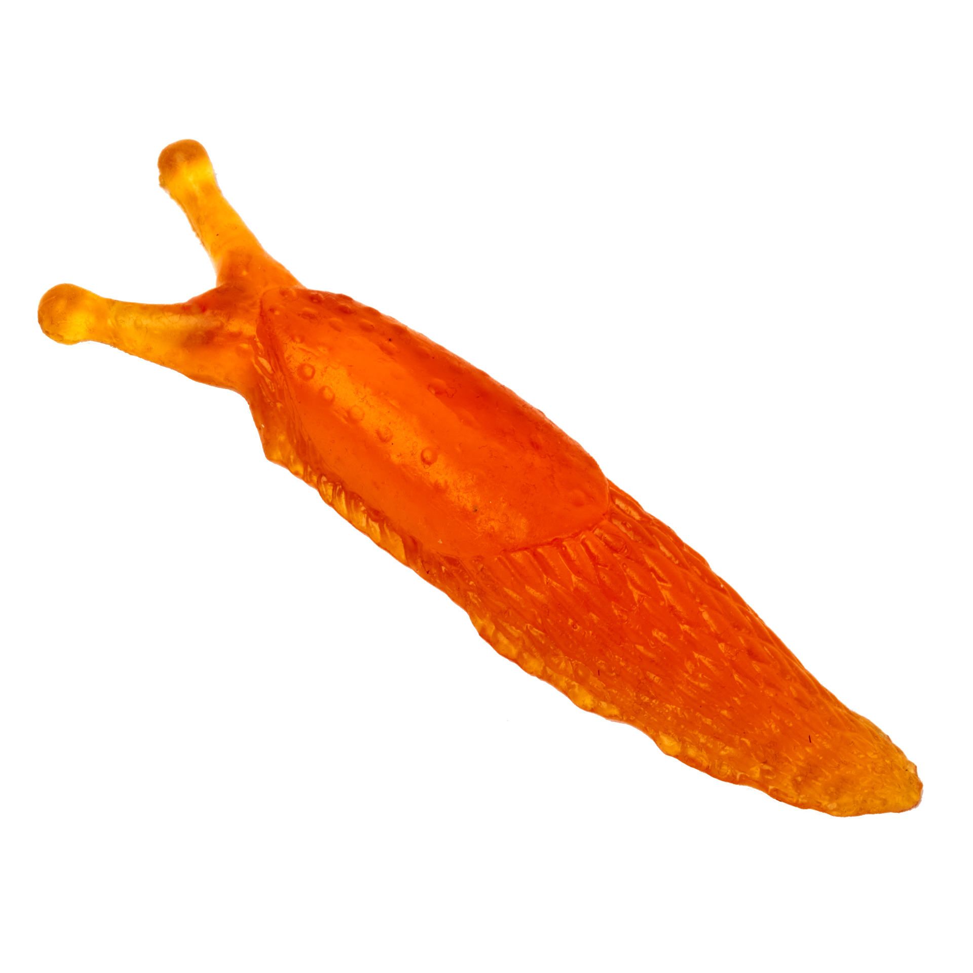 Modell Nacktschnecke