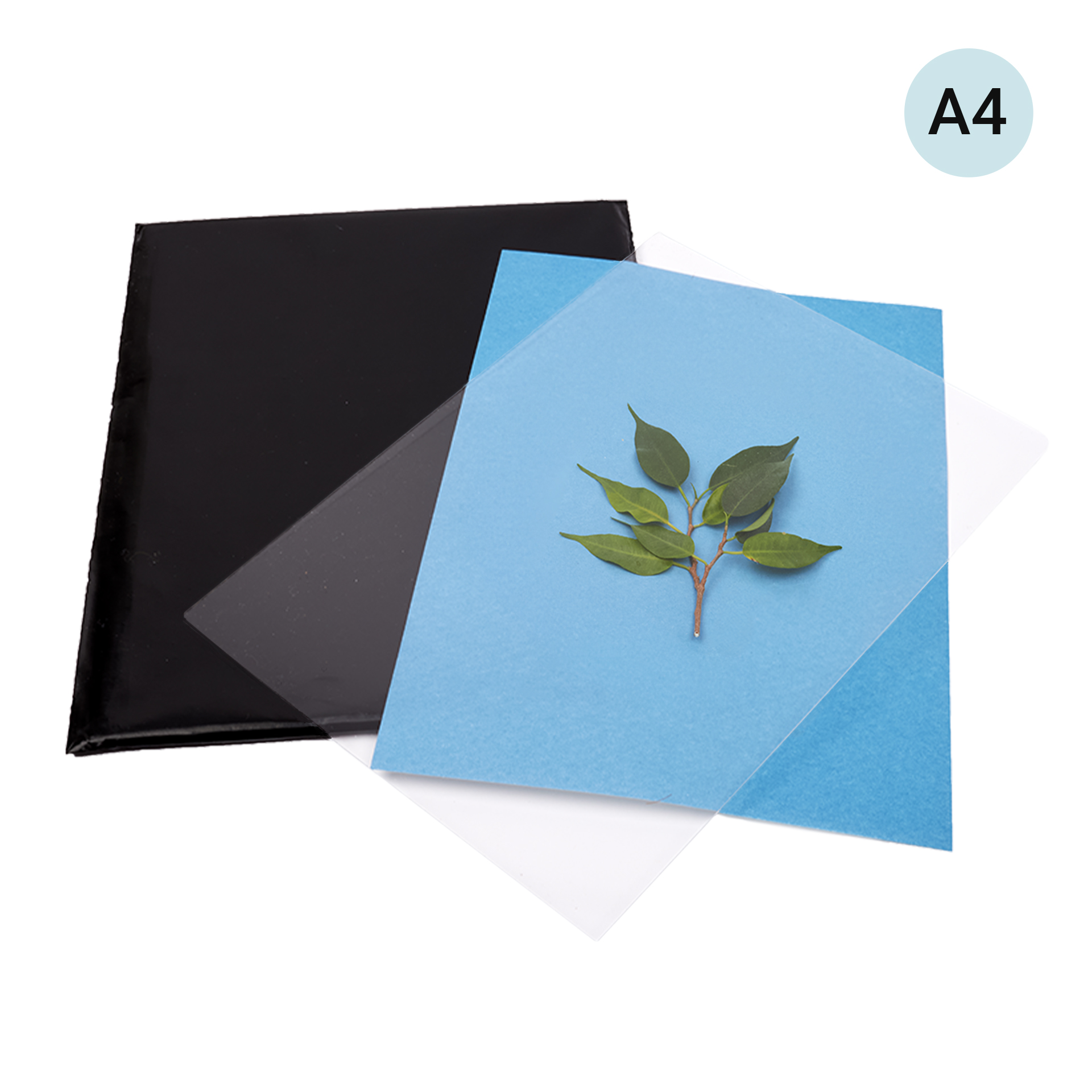 Hagemann Foto-Solarpapier mit Fixierscheibe, A4, 20 Blatt