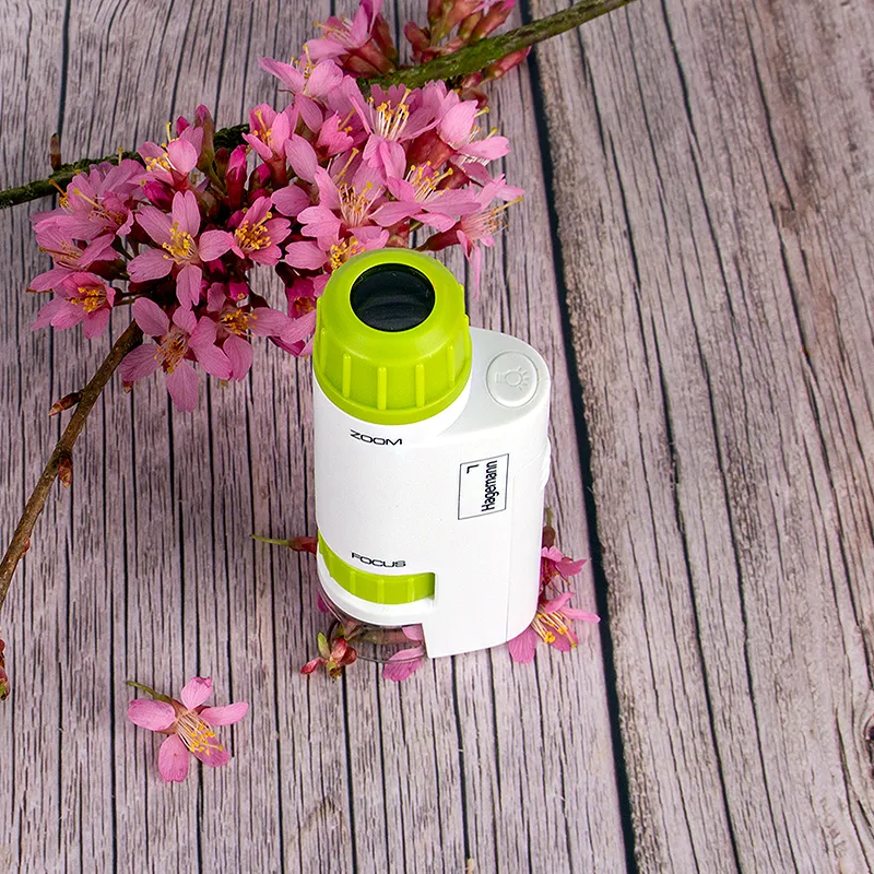 Hagemann Taschenmikroskop, kompakt (60-120-fach)