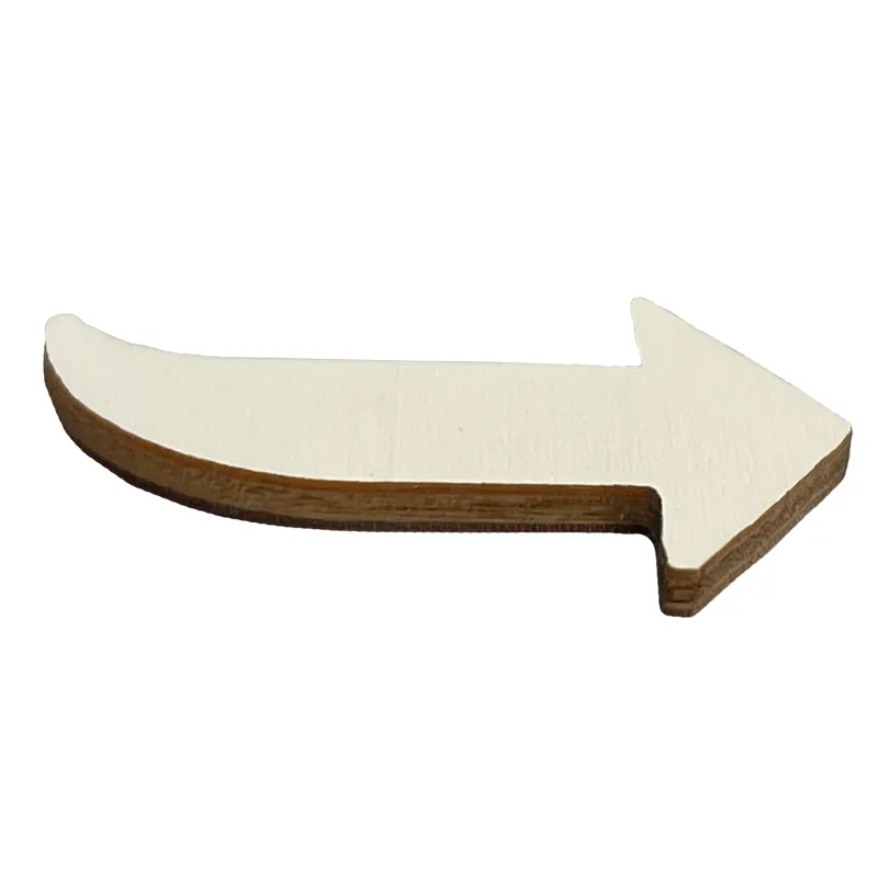 Hagemann-Lebenszyklus-Pfeile Holz (10er Set) 