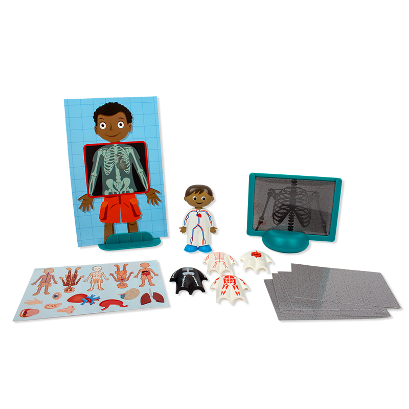 Der Menschliche Körper, Steck-Set, 17 tlg.