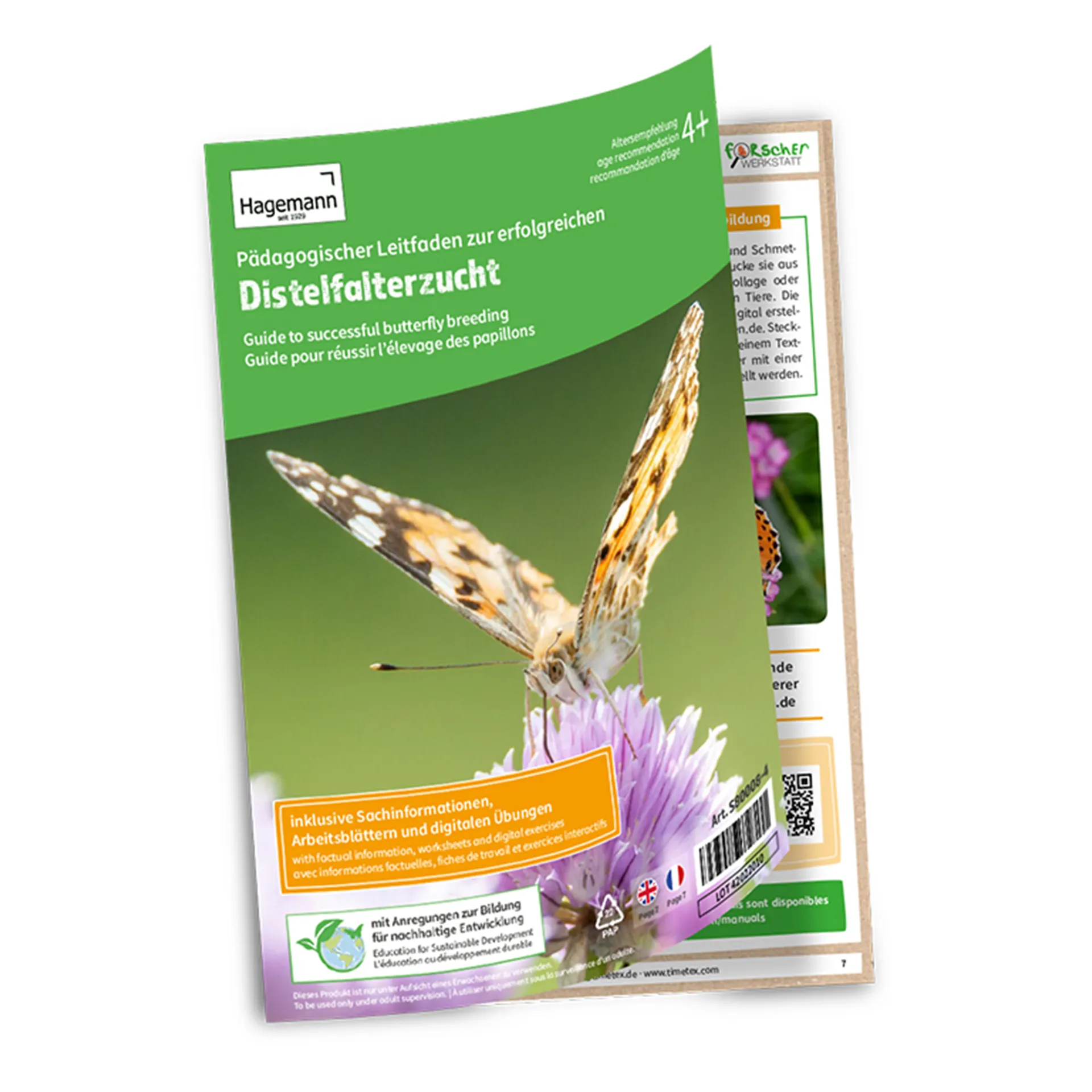 Hagemann Schmetterlings-Zuchtset mit Komfort-Eingriff (5-7 Raupen)