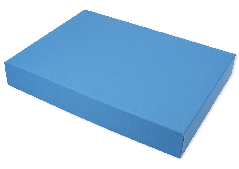 Aufbewahrungs-Karton, ca. 320x230x50 mm, A4