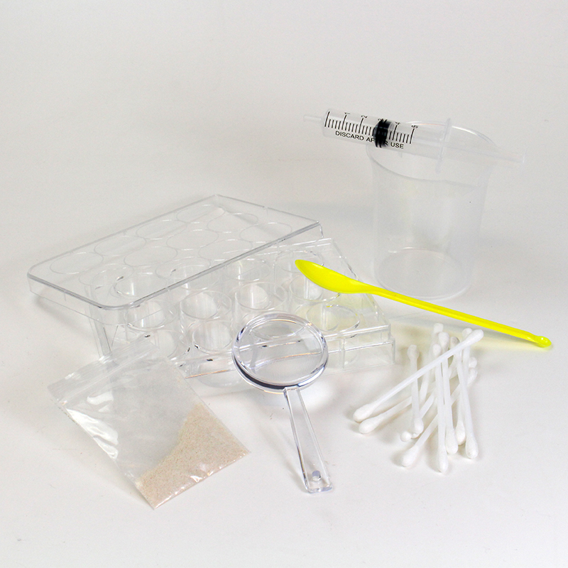 Experimentierbox Bakterien und Viren