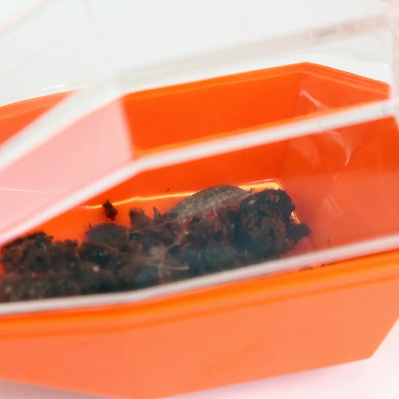 Hagemann Insektenfänger