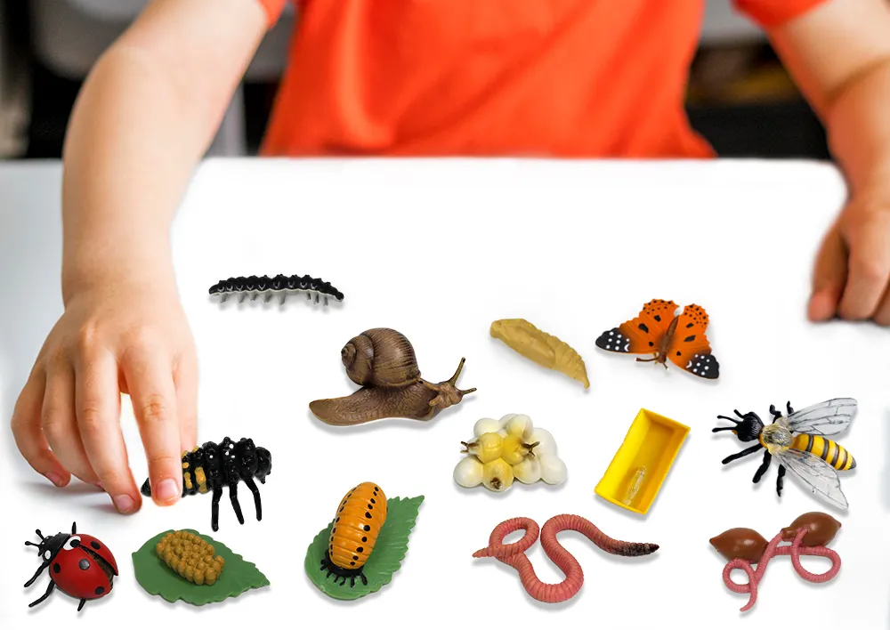 Sparset Lebenszyklus-Modelle Insekten & Co, 20-tlg.