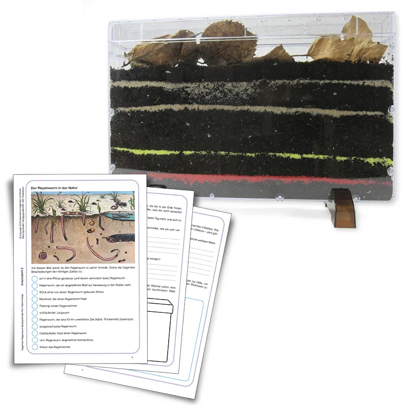 Klassenprojektset Tiere züchten und beobachten