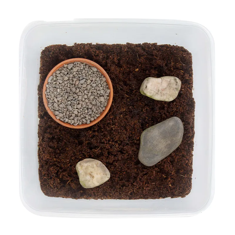 Hagemann Zuchtset Asseln