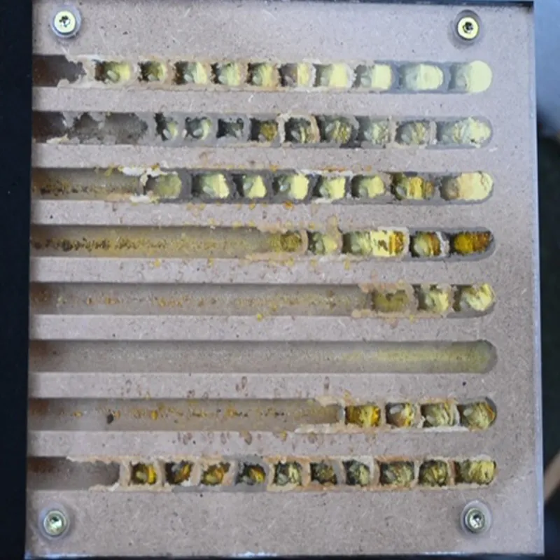 Hagemann Kokon-Heber 