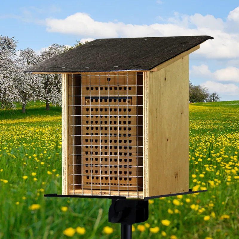 Hagemann Gruppenprojektset Wildbienen, Rote Mauerbiene