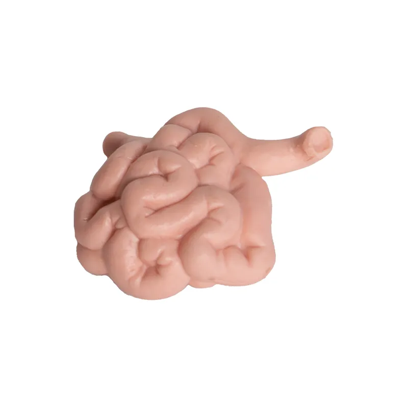 Hagemann Organe des Menschen (Modelle), 8-tlg.