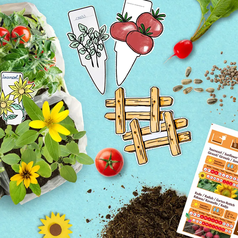 Taschenpflanzset, 4er Set