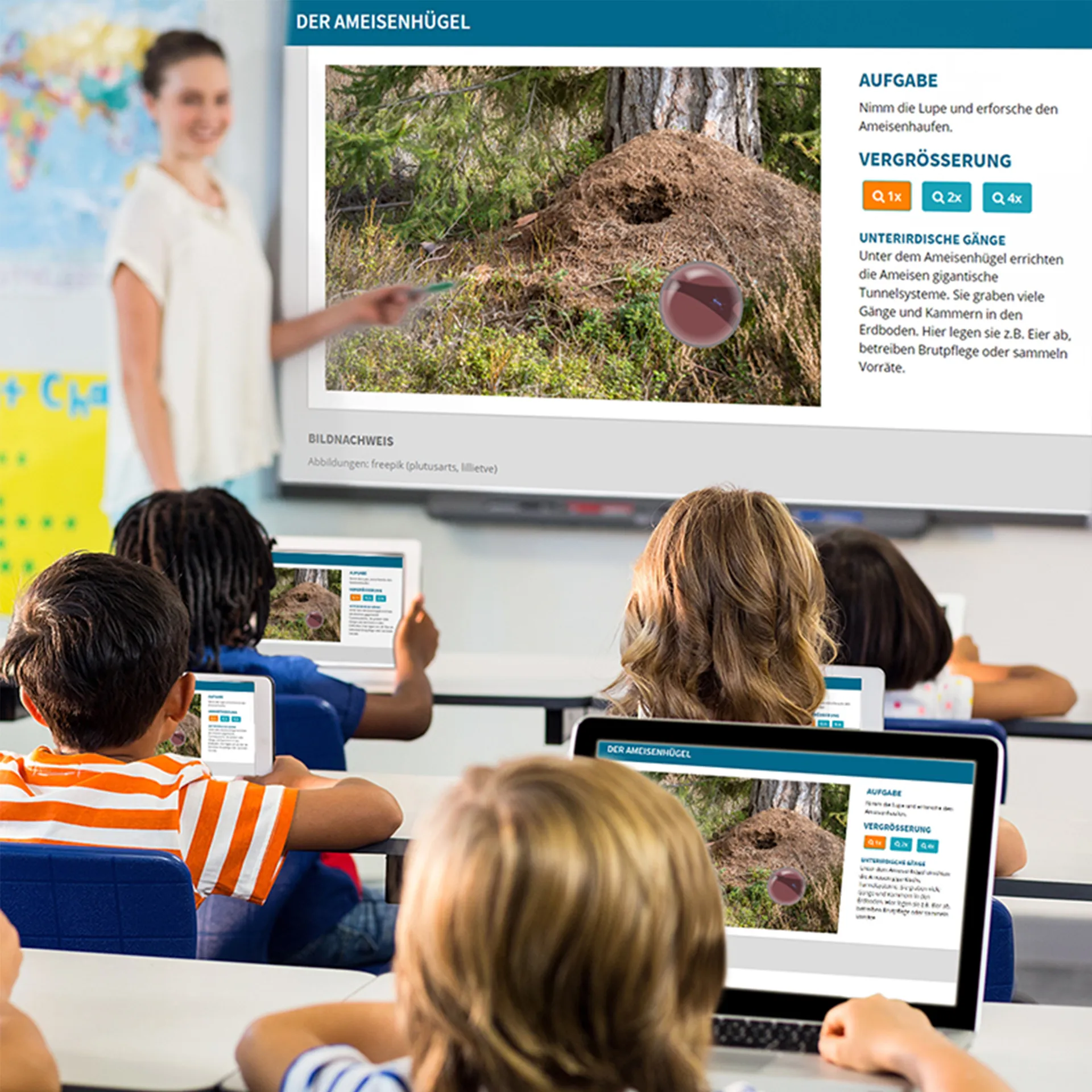 Klassenprojektset Tiere züchten und beobachten