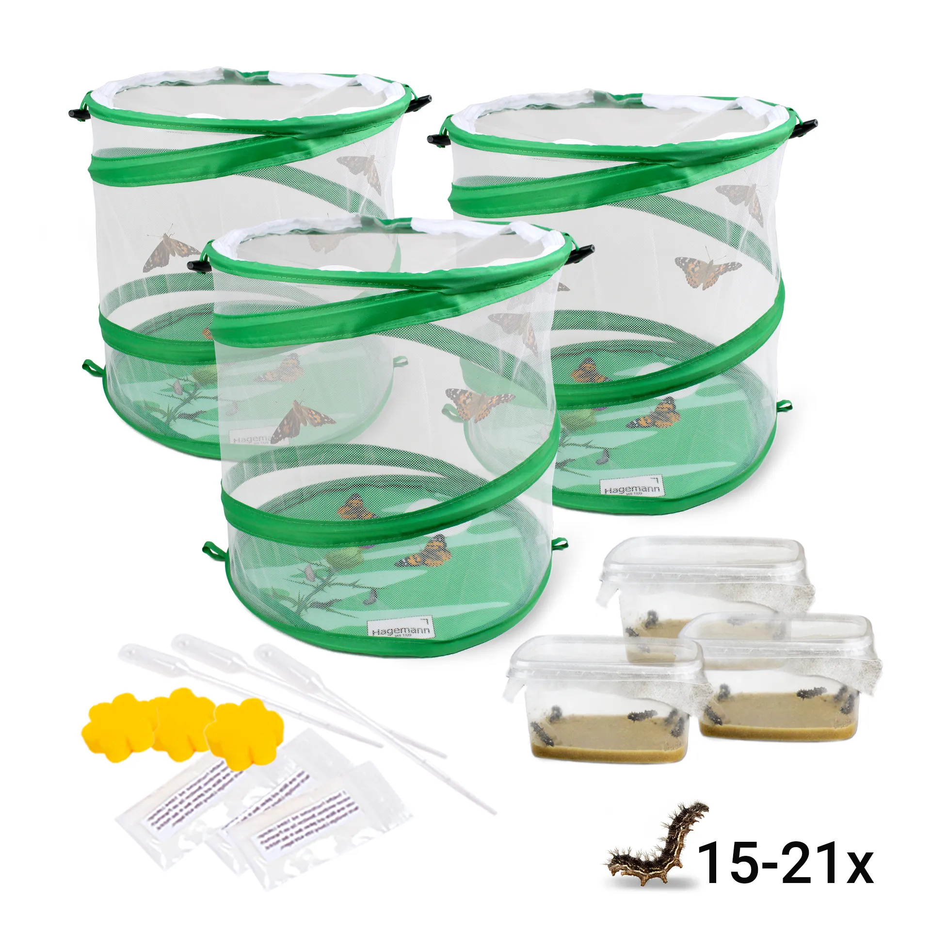 Hagemann Gruppenprojektset Schmetterlinge, Starter (15-21 Raupen)