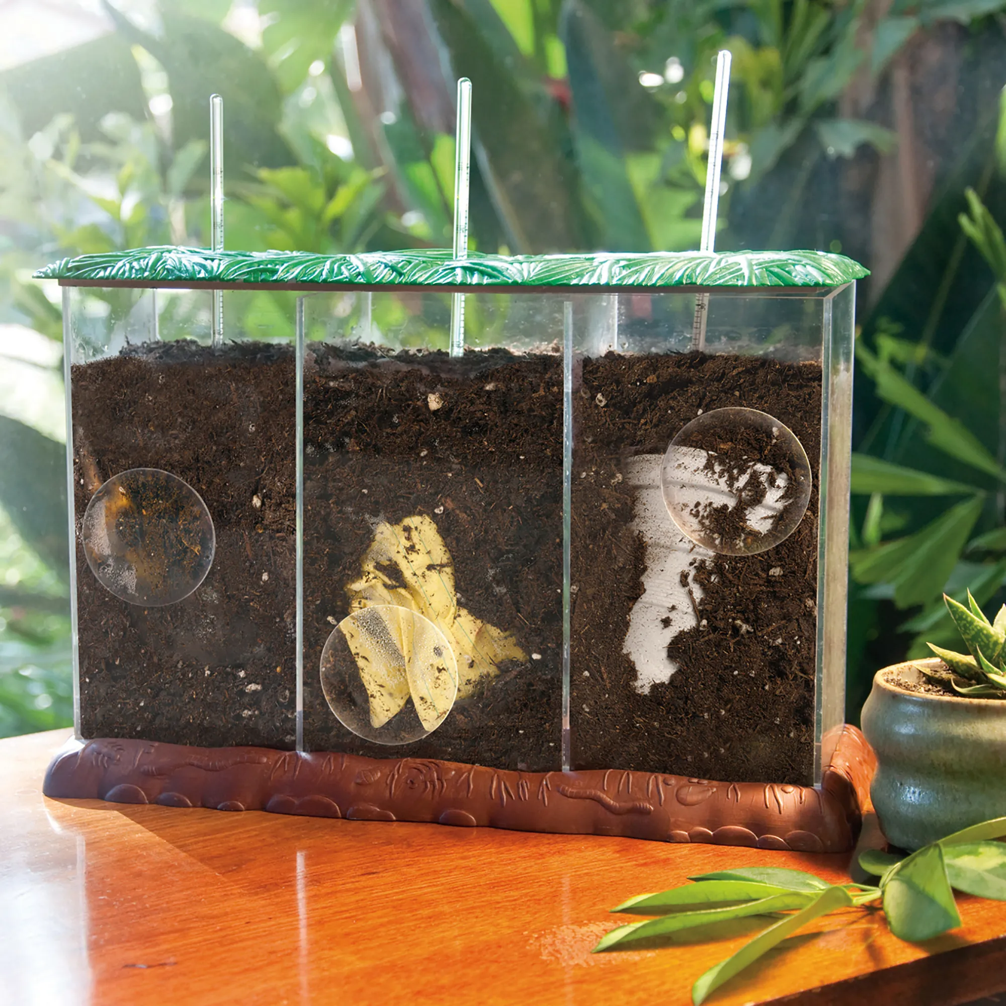 Beobachtungs-Komposter