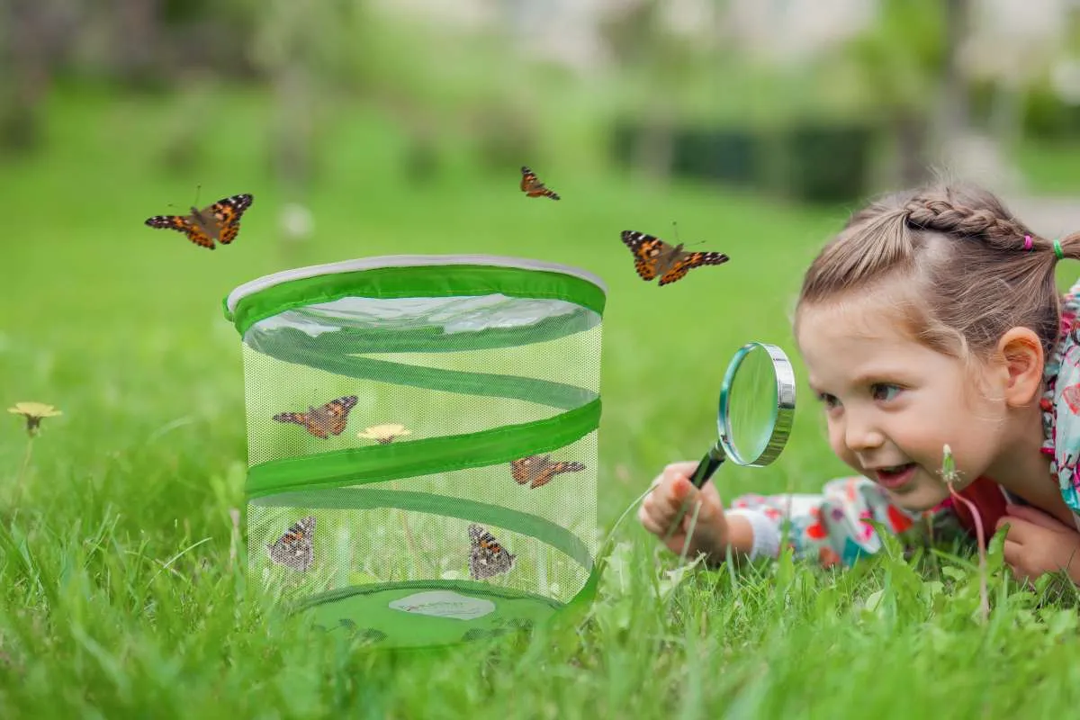 Von der Raupe zum Schmetterling - Projekte im Kindergarten