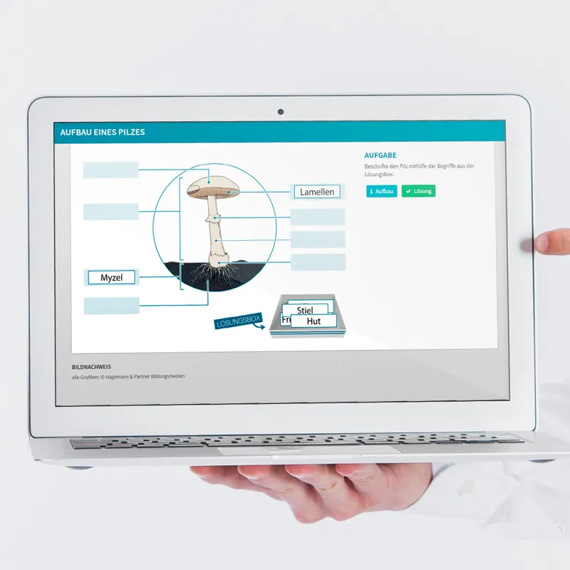 Hagemann Pilz-Zuchtset Braunkappe
