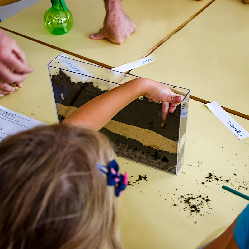 Wurzel- und Regenwurm-Beobachtungs-Set (2 Stück)