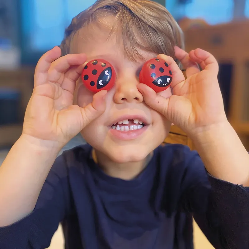 Memo-Spiel "Memolino Marienkäfer", 30-tlg.