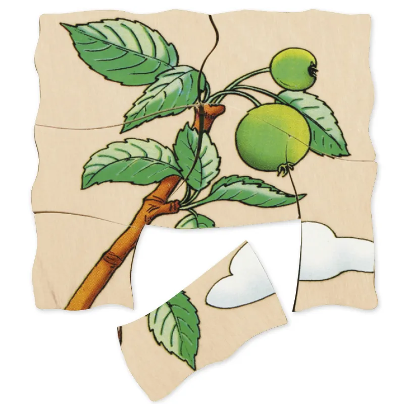 beleduc Schichten-Puzzle "Apfel", 30-tlg.