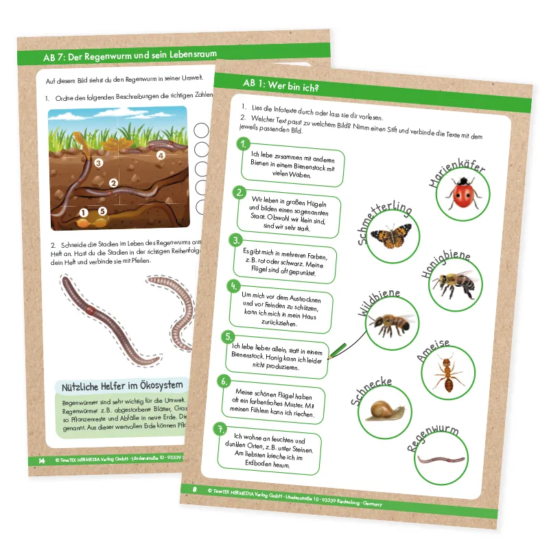 Hagemann Flipchart-Spiel Lebenszyklus Schmetterlinge, Bienen & Co