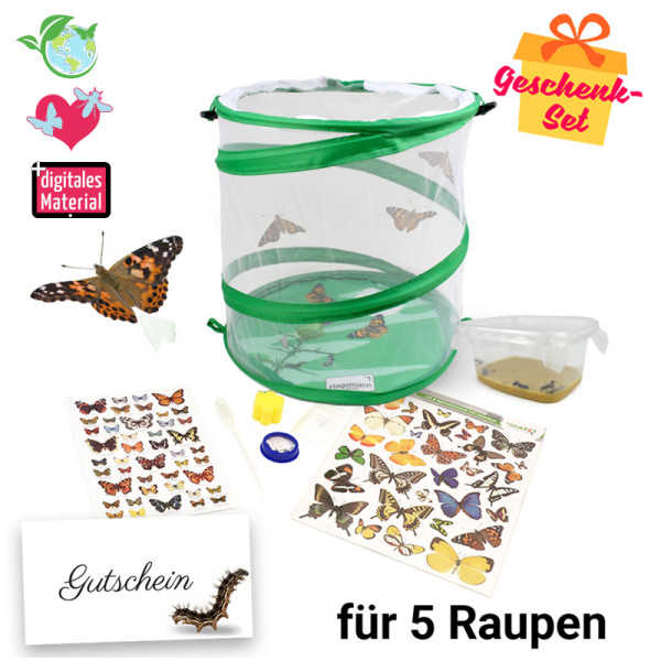 Hagemann Schmetterlings-Zuchtset, kompakt (mit Gutschein, 5 Raupen)