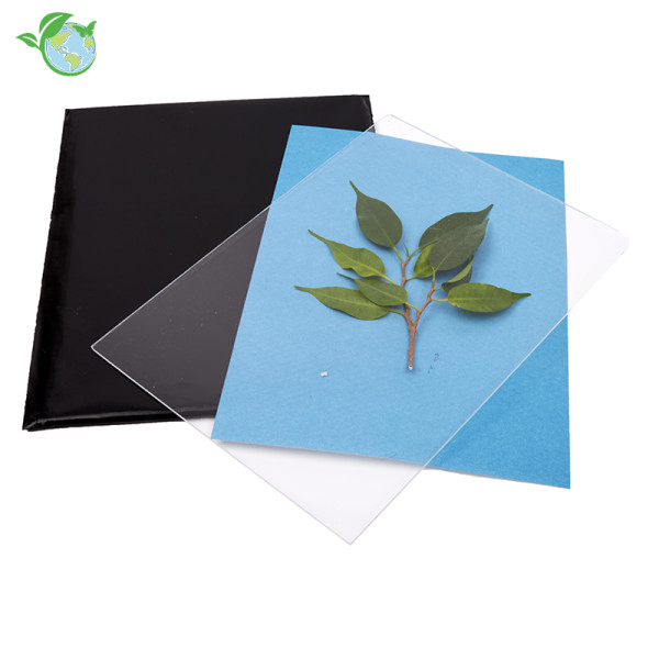 Foto-Solarpapier mit Fixierscheibe (40 Blatt 17,8 x 12,7 cm)