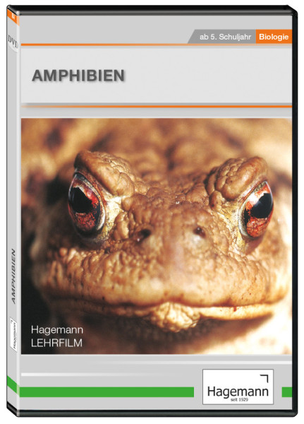 DVD-Lehrfilm Amphibien