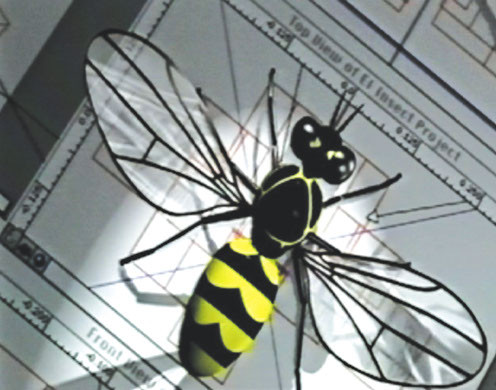 DVD-Lehrfilm Die faszinierende Welt der Insekten