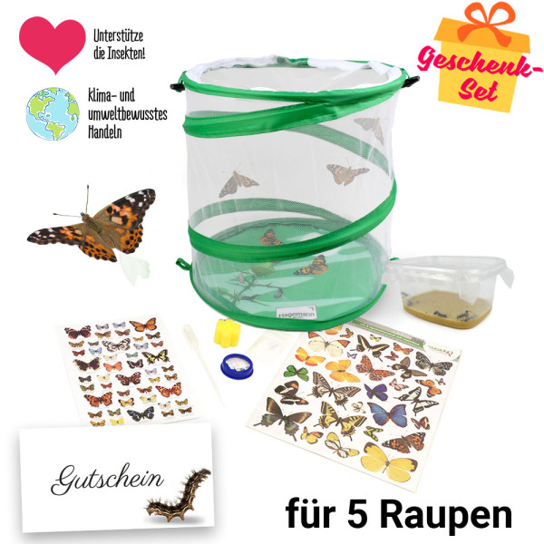 Hagemann Schmetterlings-Geschenk-Set, kompakt