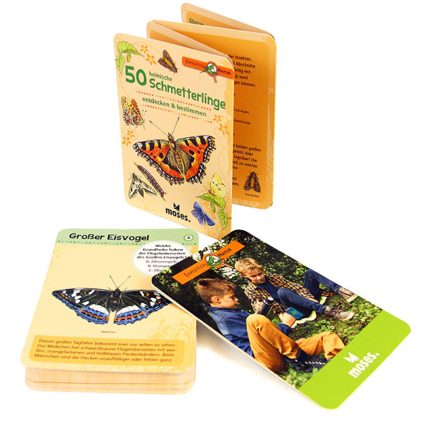 50 heimische Schmetterlinge entdecken und bestimmen