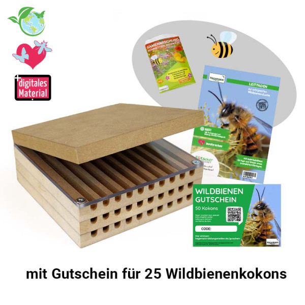 Hagemann Zuchtset Wildbienen, kompakt, Rote Mauerbiene (mit Gutschein, 25 Kokons)