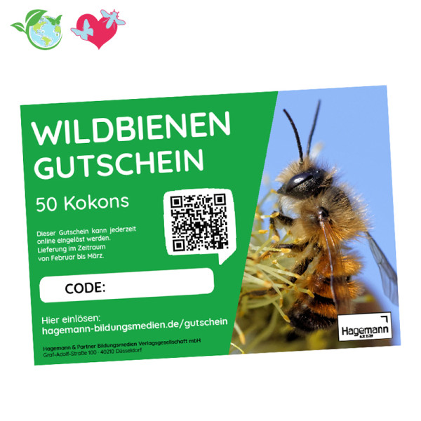 Hagemann Kokons für Wildbienenzucht, Rote Mauerbiene (mit Gutschein, 50 Kokons)